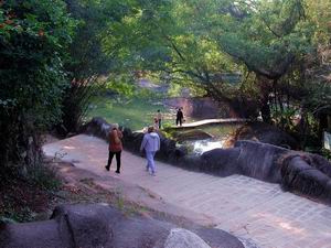 Xiamen Botanical Garden