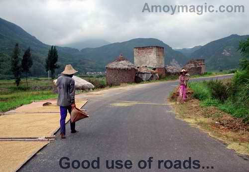 Farmers use the roads and highways to dry grain, often covering the entire widths and forcing cars through them--using the cars as threshers   Amoy Magic Guide to Xiamen and Fujian China
