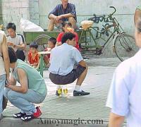 This fellow would have no problem with Chinese potties!