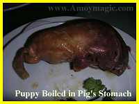 Puppy boiled in pig's stomach - a Hakka delicacy    I delicately refused