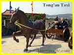 Bronze chariot and horse at Tong'an Xiamen Film Studio City and Forbidden Palace