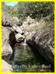 Tong'an Butterfly Valley pool--perfect place to cool off