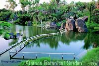 Xiamen Botanical Garden--1,000s of species!