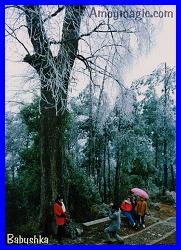 Snow falls in Changting, West Fujian